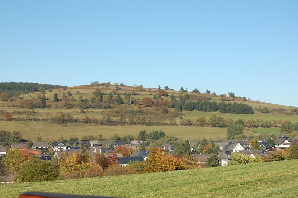 Westfalenhof Garni Willingen  Exterior photo